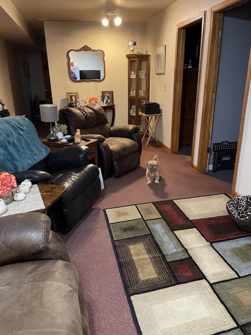 RentalsMLS Rental Additional Image