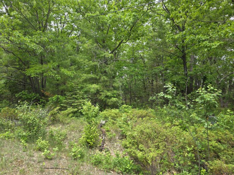 RentalsMLS Rental Main Image