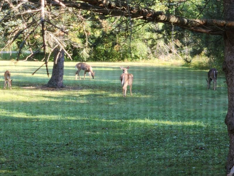 RentalsMLS Rental Additional Image