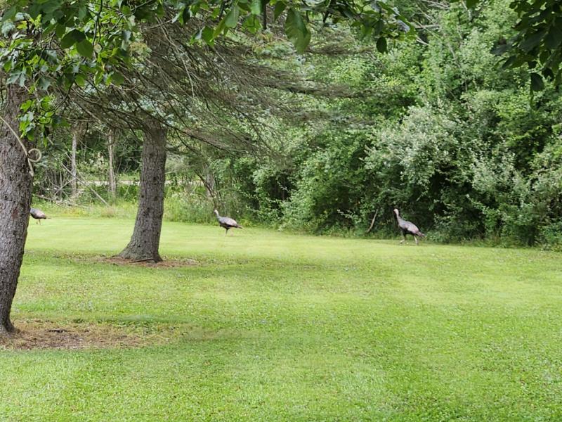 RentalsMLS Rental Additional Image