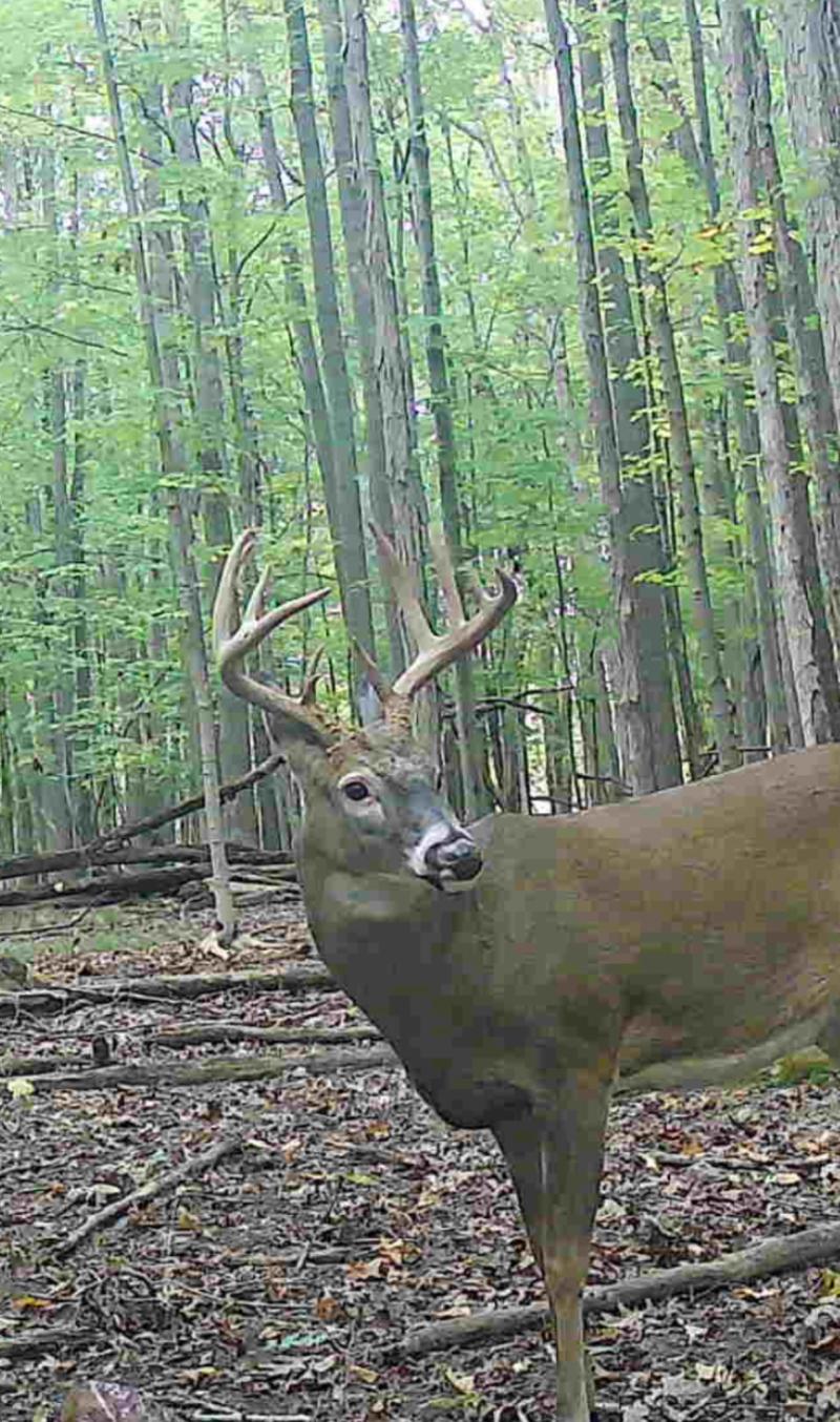 RentalsMLS Rental Additional Image