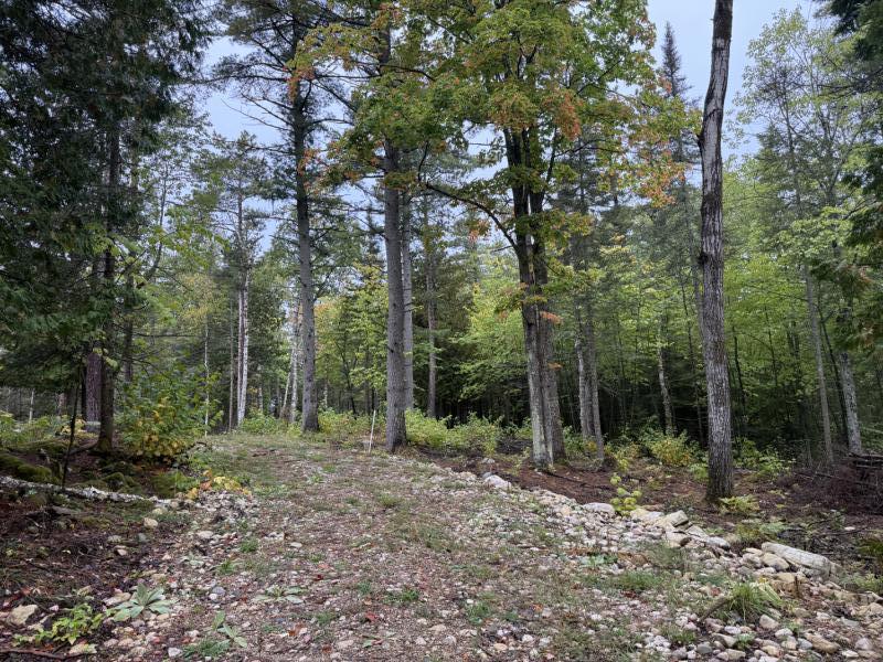 RentalsMLS Rental Main Image