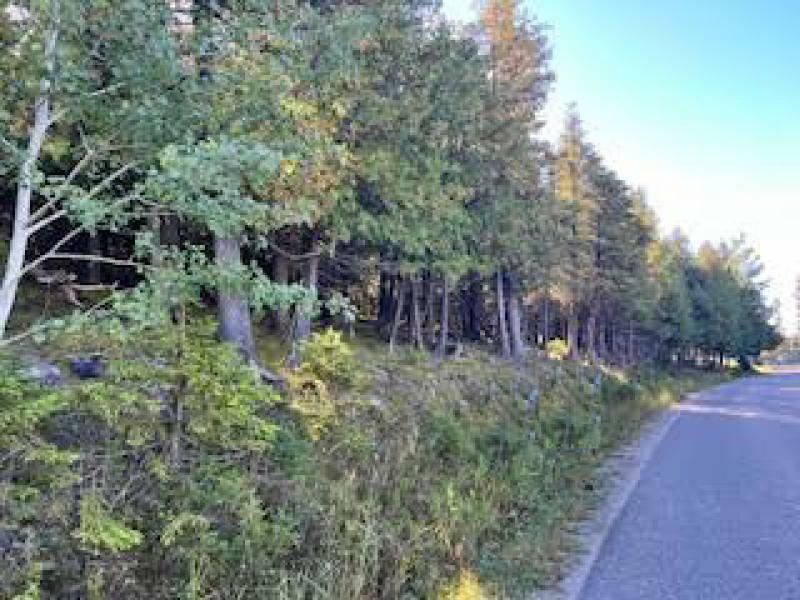 RentalsMLS Rental Main Image