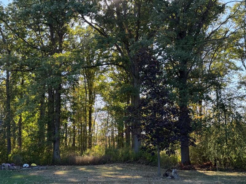 RentalsMLS Rental Additional Image