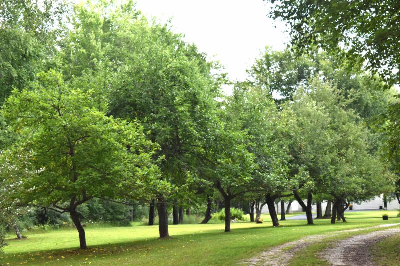 RentalsMLS Rental Additional Image