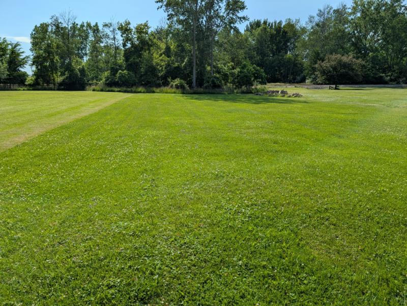 RentalsMLS Rental Additional Image