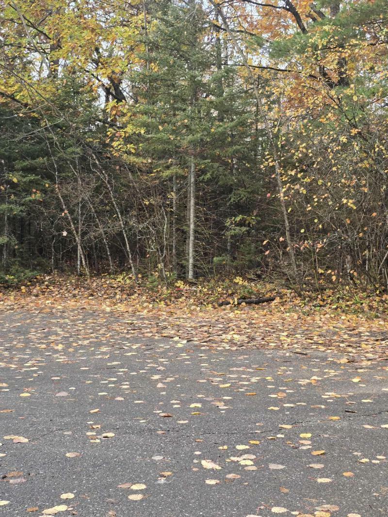 RentalsMLS Rental Main Image