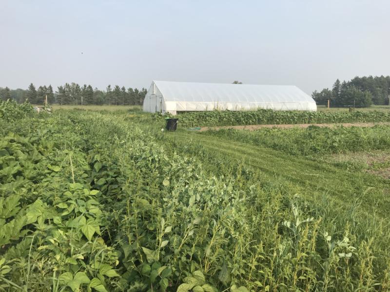 RentalsMLS Rental Additional Image