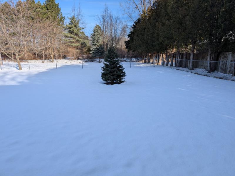 RentalsMLS Rental Additional Image