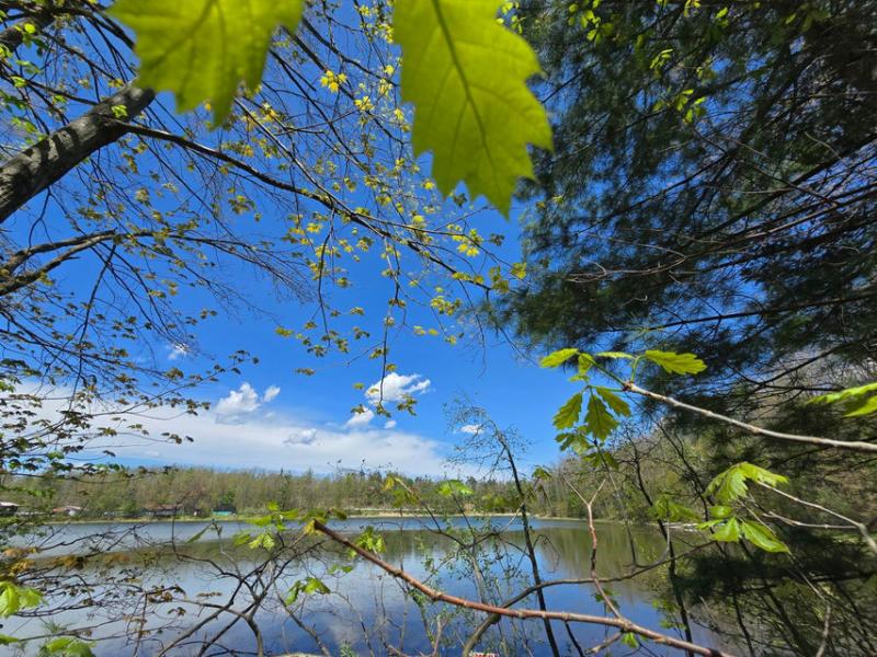 RentalsMLS Rental Additional Image