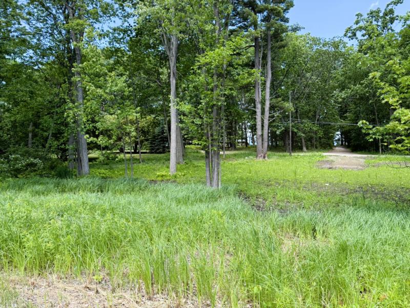 RentalsMLS Rental Main Image