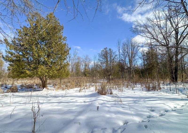 RentalsMLS Rental Main Image