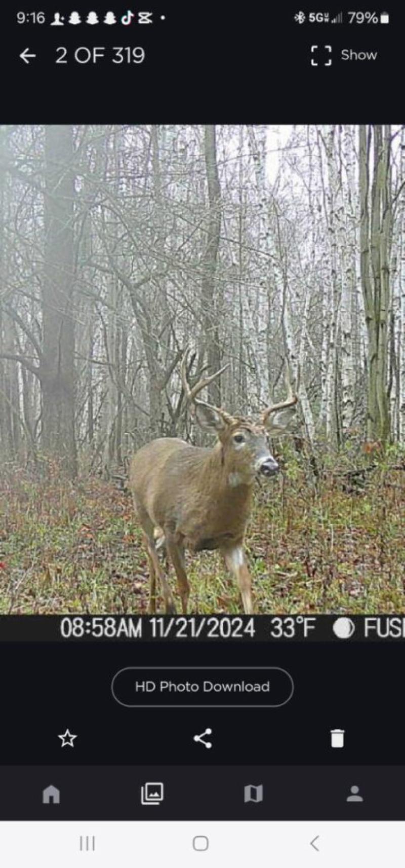 RentalsMLS Rental Additional Image