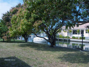 Rental 1157 Main Image