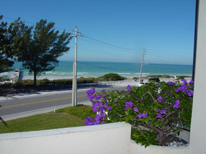Rental 1246 Main Image