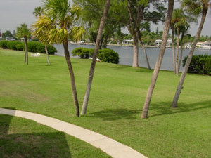 Rental 1303 Main Image