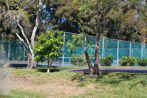 RentalsMLS Rental Additional Image