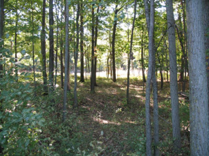 Rental 191909 Main Image