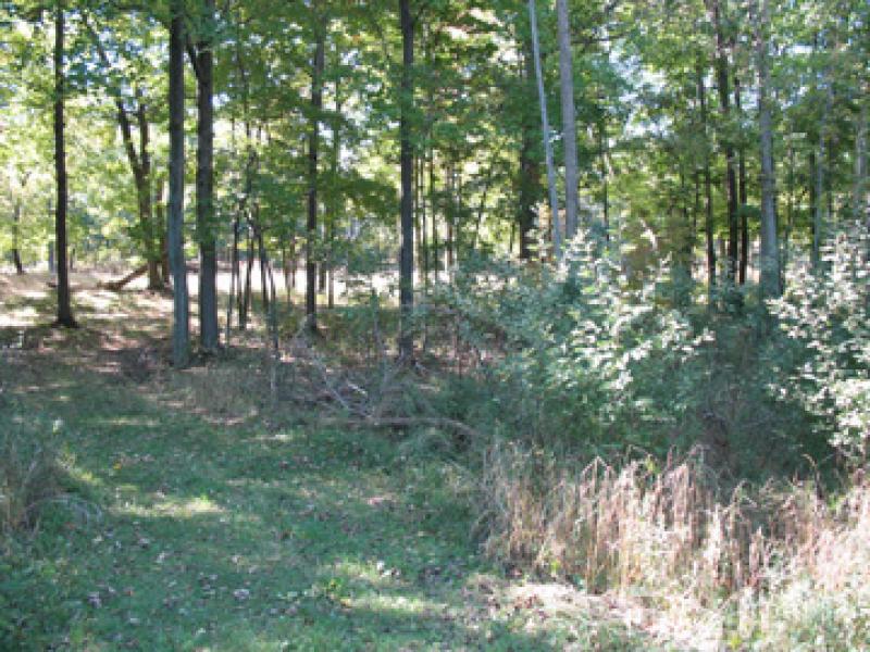Rental 191911 Main Image