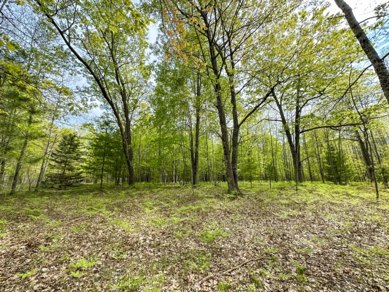 Rental 201220 Main Image