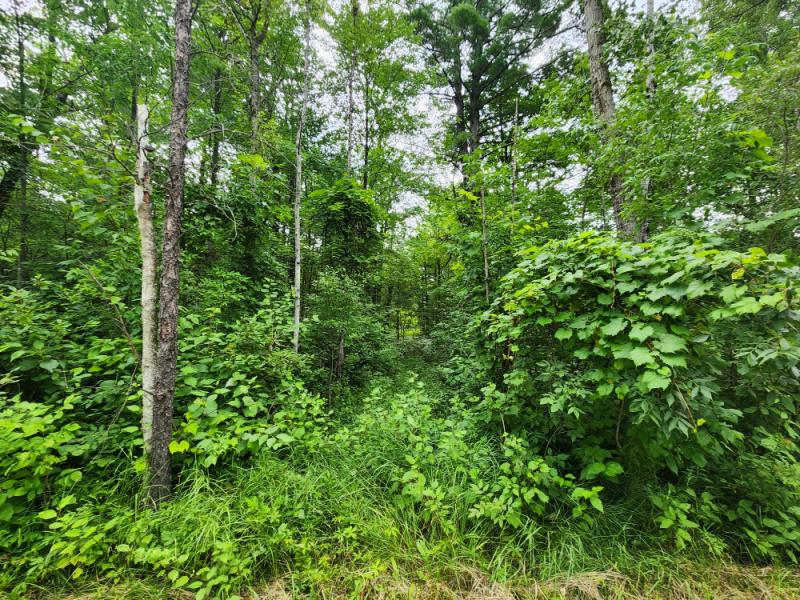 Rental 202255 Main Image