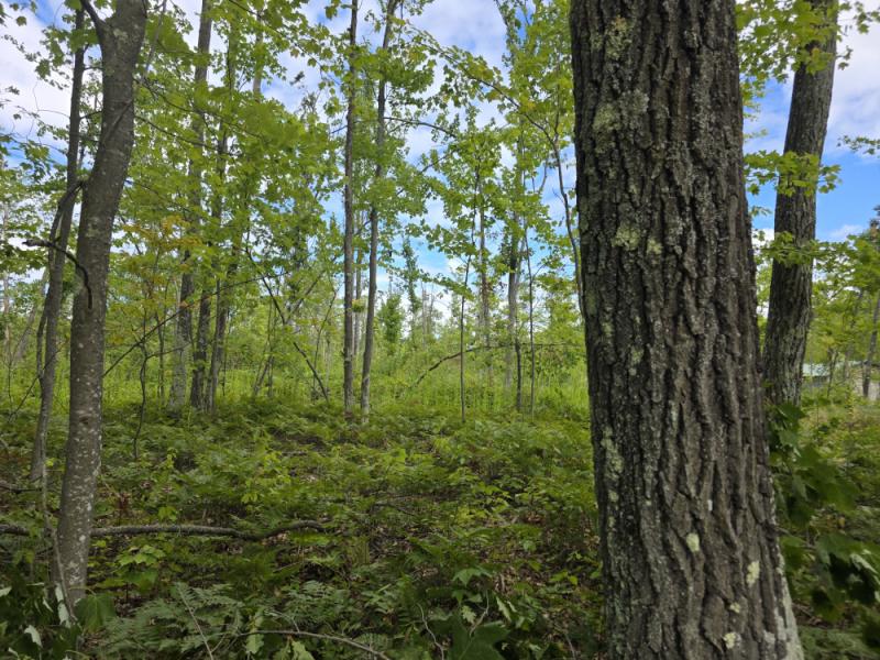 Rental 202266 Main Image