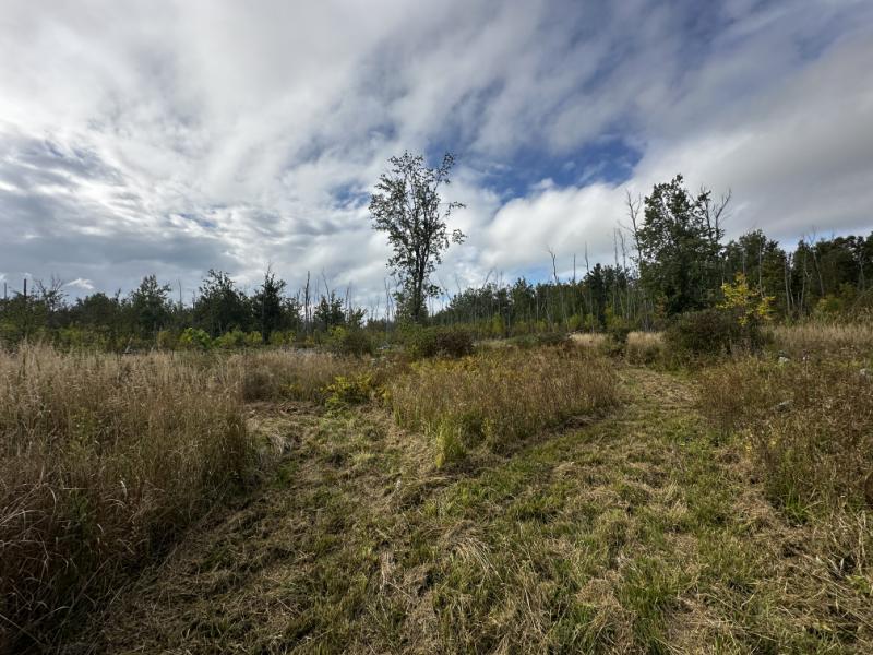 Rental 202313 Main Image