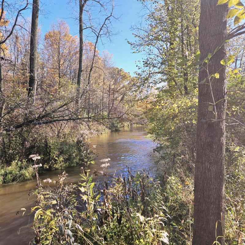 Rental 202321 Main Image