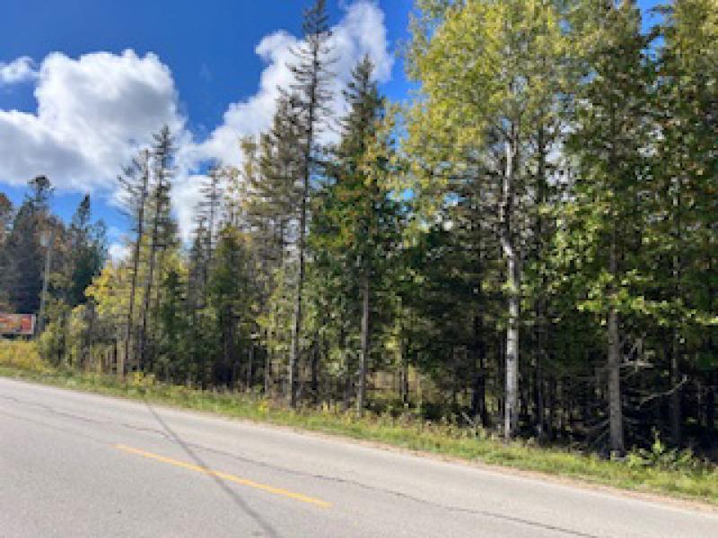 Rental 202385 Main Image