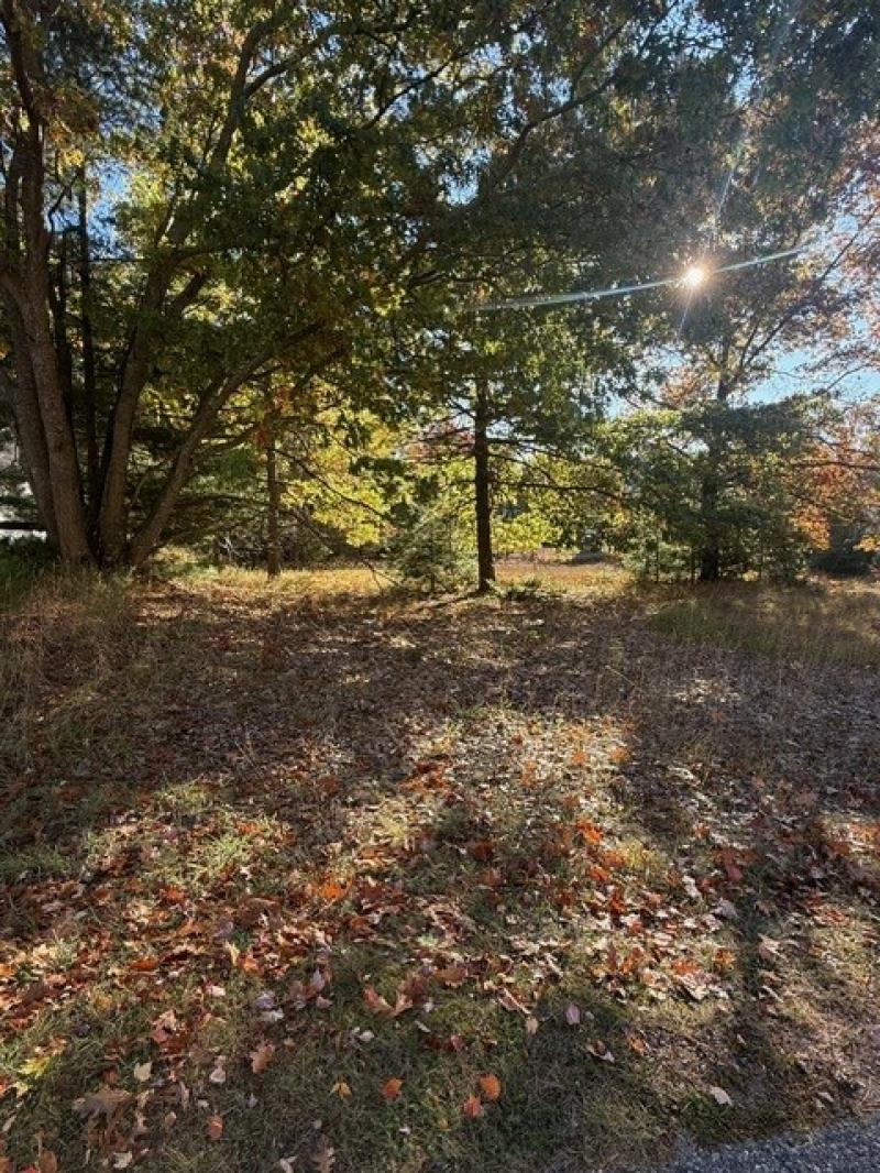 Rental 202469 Main Image