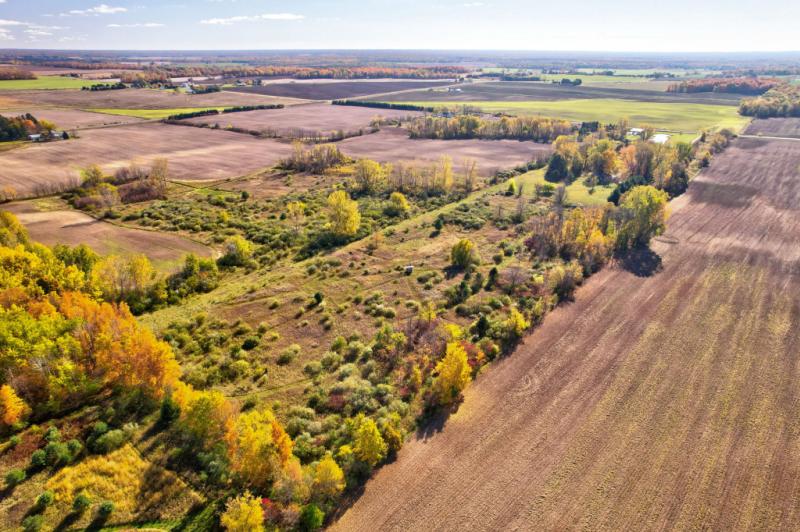 Rental 202531 Main Image