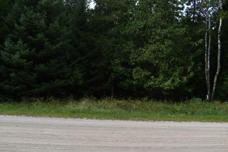 Rental 202615 Main Image