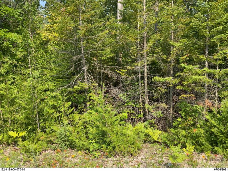 Rental 202963 Main Image