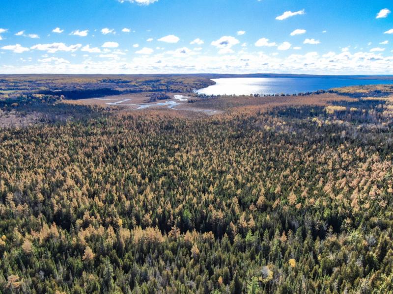 Rental 202973 Main Image