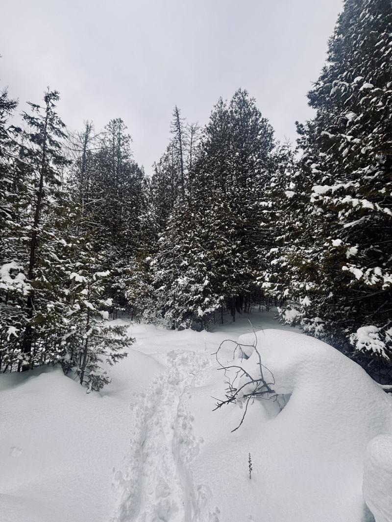 Rental 203020 Main Image