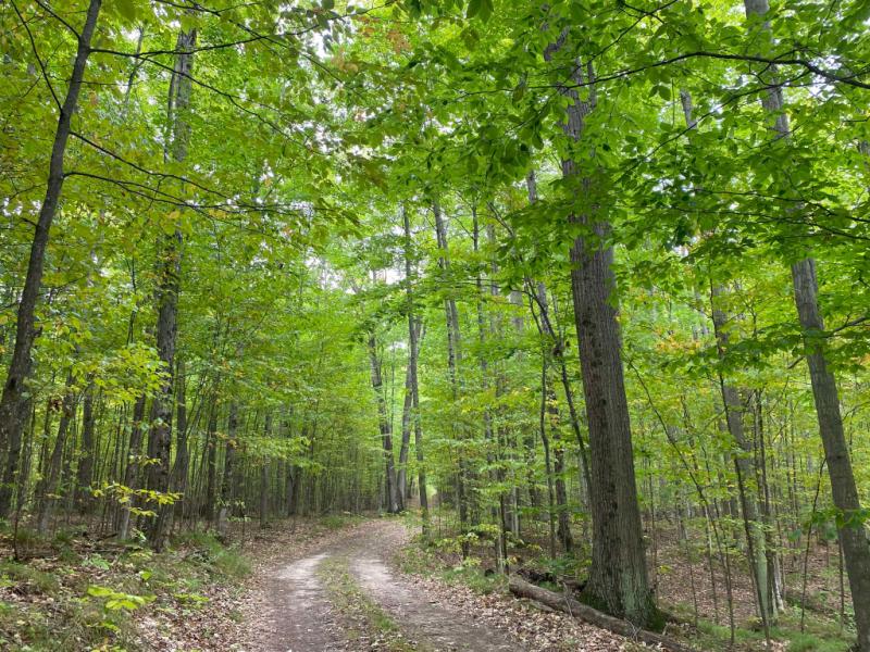 Rental 203078 Main Image