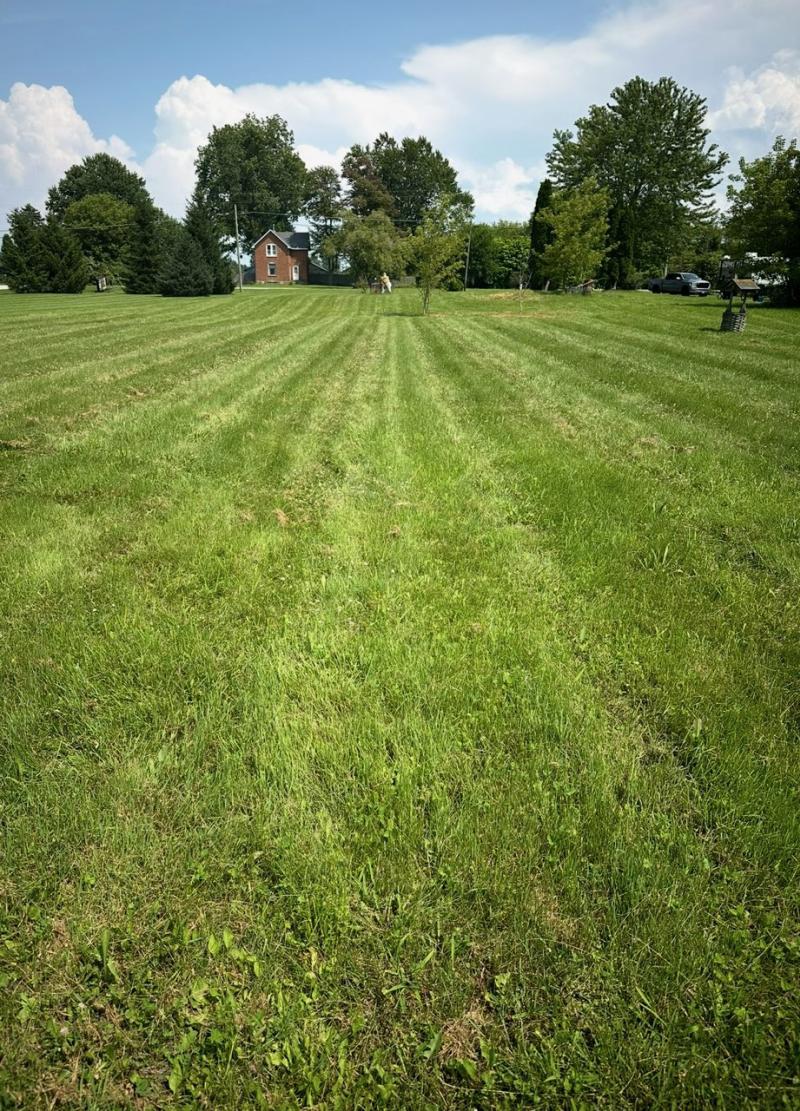 Rental 203180 Main Image