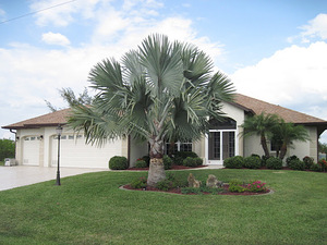 Rental 2100 Main Image
