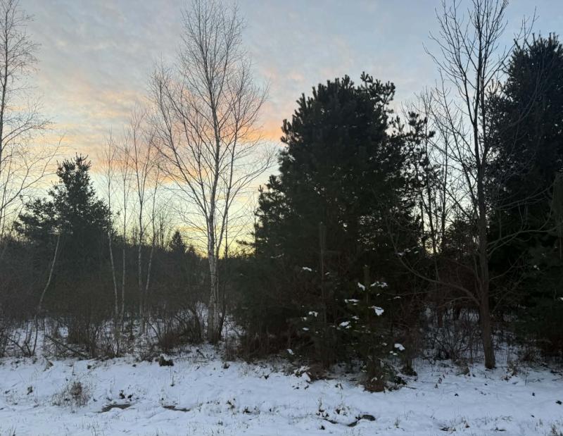 RentalsMLS Rental Main Image