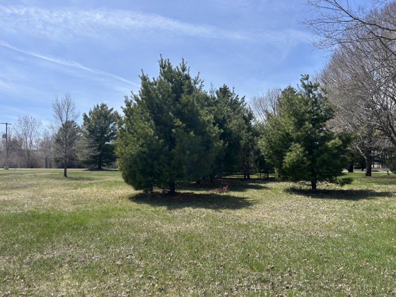 Rental 203519 Main Image