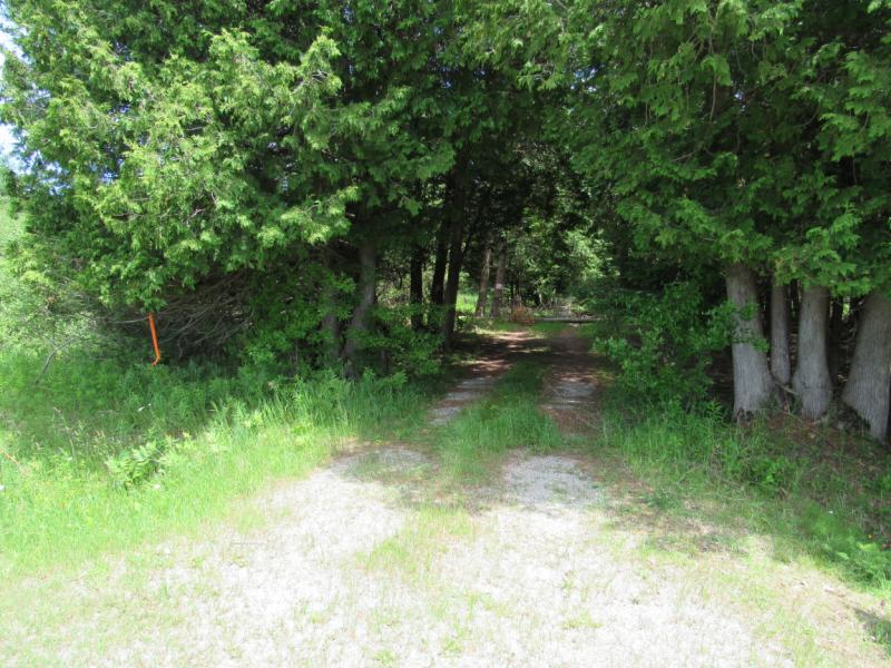 Rental 204025 Main Image