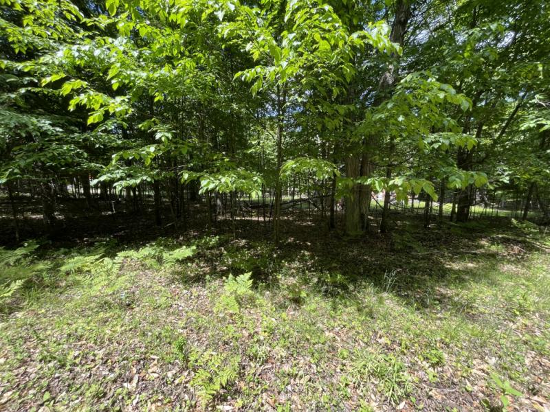 Rental 204084 Main Image