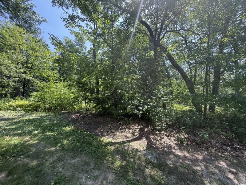 Rental 204288 Main Image